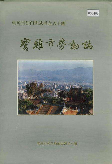 《宝鸡市劳动志》.pdf电子版_陕西省志缩略图