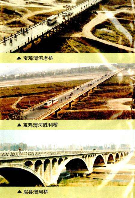 《宝鸡市公路交通志》.pdf电子版_陕西省志预览图4