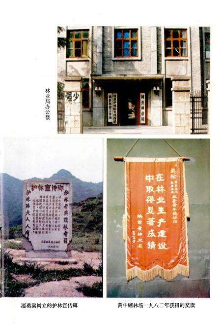 《凤县林业志》.pdf电子版_陕西省志预览图3