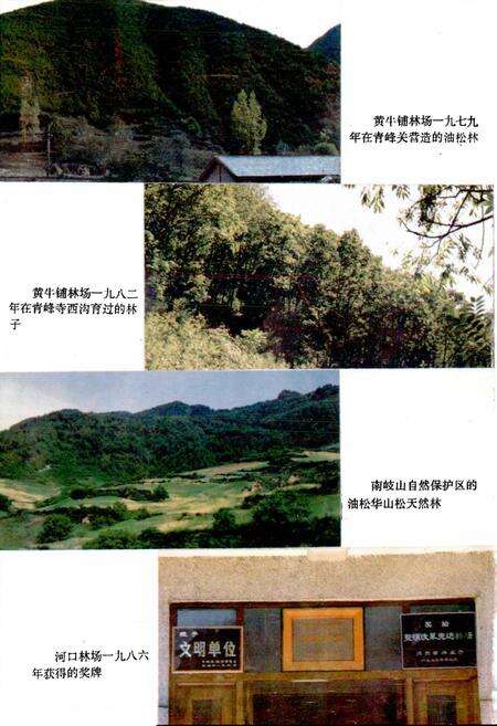 《凤县林业志》.pdf电子版_陕西省志预览图4