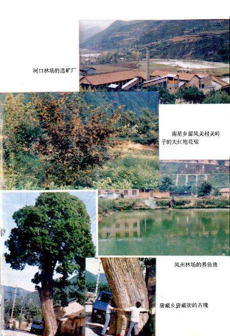 《凤县林业志》.pdf电子版_陕西省志预览图5