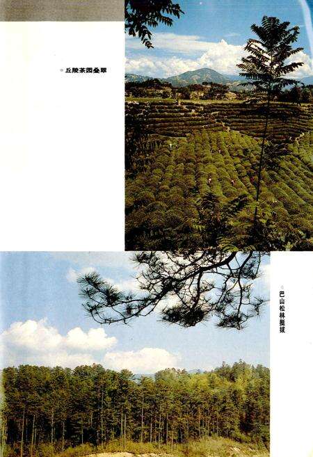 《南郑县志》.pdf电子版_陕西省志预览图5