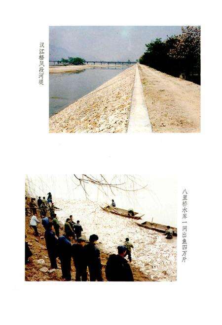 《汉中市水利志》.pdf电子版_陕西省志预览图5