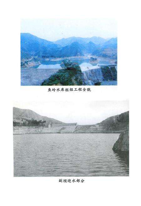 《丹凤县水利志》.pdf电子版_陕西省志预览图4