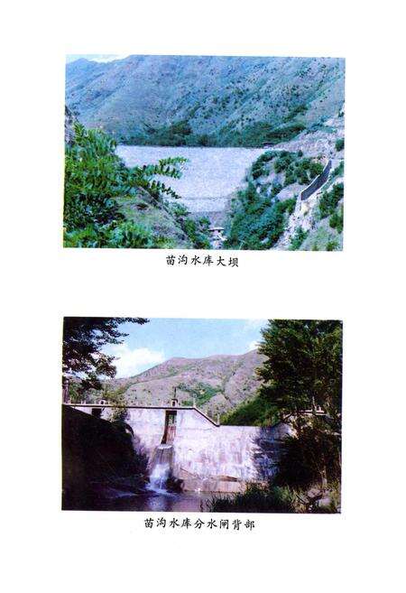 《丹凤县水利志》.pdf电子版_陕西省志预览图5