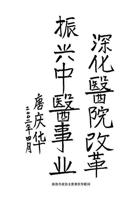 《丹凤县中医医院志》.pdf电子版_陕西省志预览图5