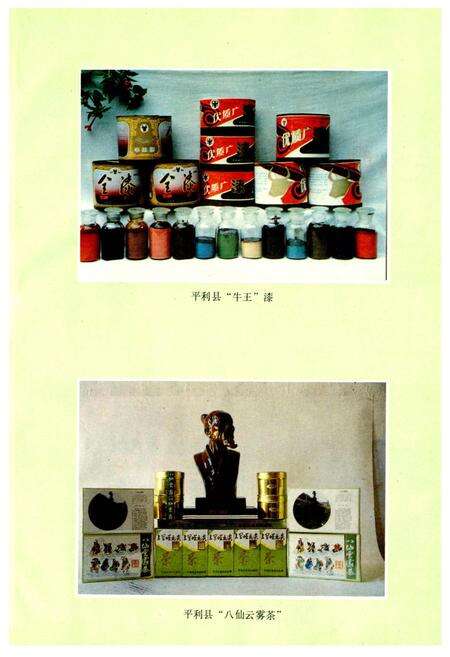 《平利县财政志》.pdf电子版_陕西省志预览图5