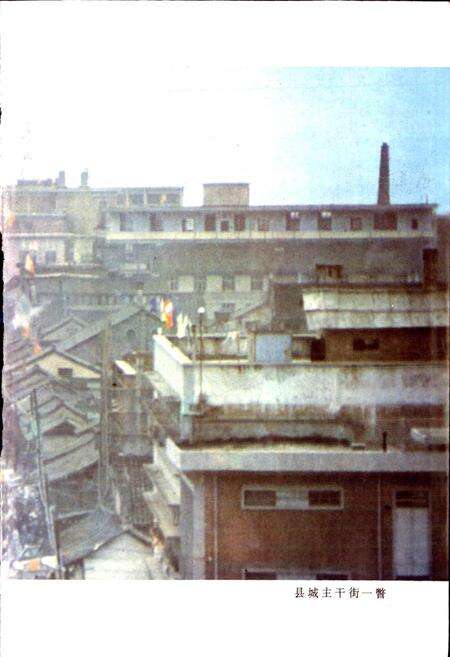 《陕西省城固县地名志》.pdf电子版_陕西省志预览图4