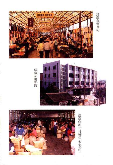 《陕西省洛南县地名志》.pdf电子版_陕西省志预览图5