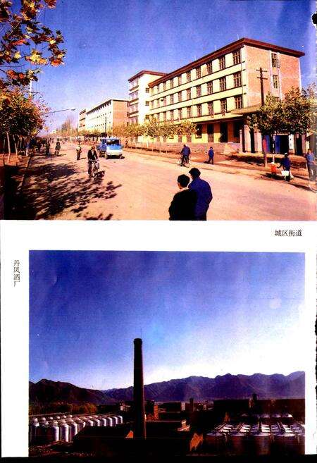 《陕西省丹凤县地名志》.pdf电子版_陕西省志预览图3