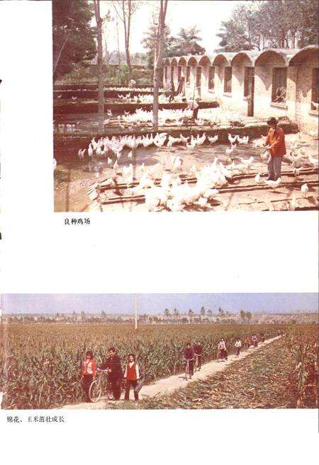 《陕西省高陵县地名志》.pdf电子版_陕西省志预览图5