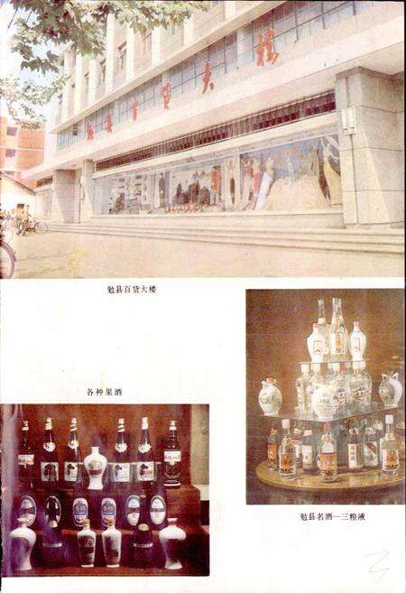 《陕西省勉县地名志》.pdf电子版_陕西省志预览图4