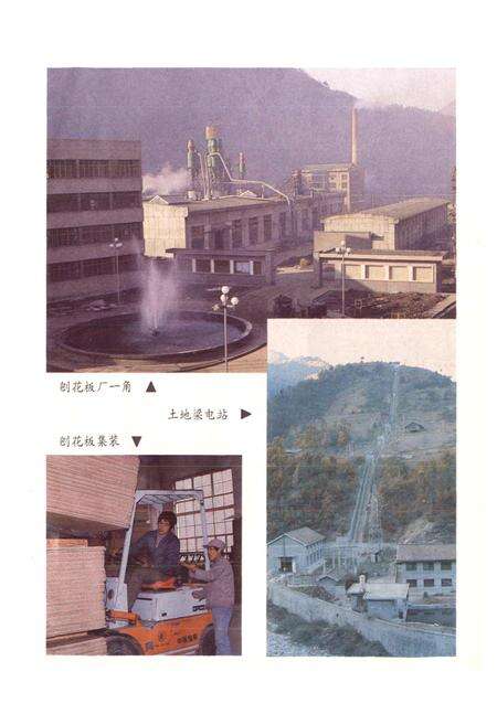 《陕西省宁陕县地名志》.pdf电子版_陕西省志预览图5