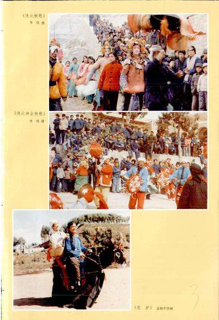 《中国民族民间舞蹈集成陕西卷》.pdf电子版_陕西省志预览图5