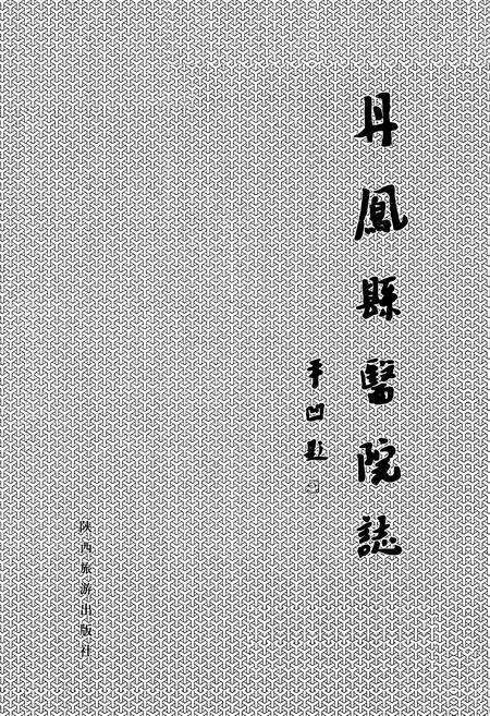 《丹凤县医院志》.pdf电子版_陕西省志预览图1
