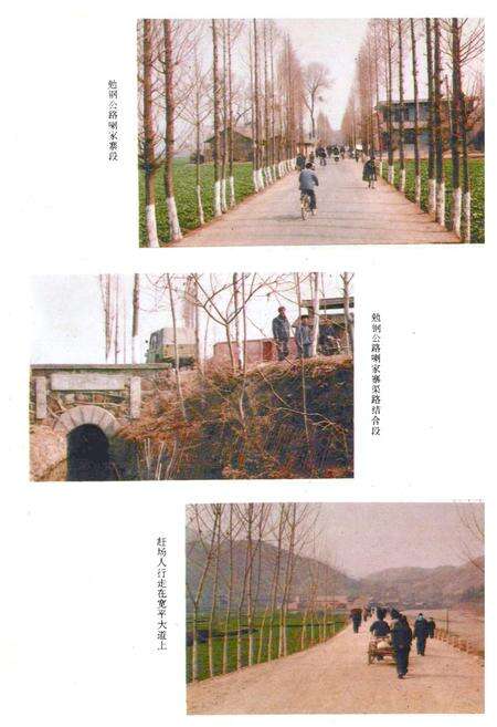 《勉县交通志》.pdf电子版_陕西省志预览图4