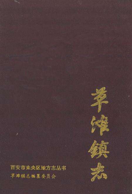 《草滩镇志》.pdf电子版_陕西省志缩略图