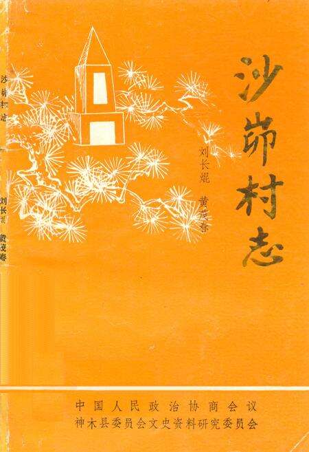 《沙峁村志》.pdf电子版_陕西省志缩略图
