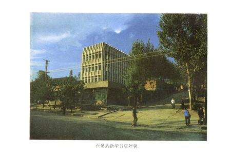 《石泉县图书发行志》.pdf电子版_陕西省志预览图5