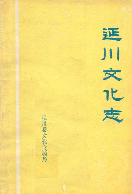 《延川文化志》.pdf电子版_陕西省志缩略图
