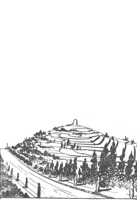 《乾县文物志》.pdf电子版_陕西省志预览图3