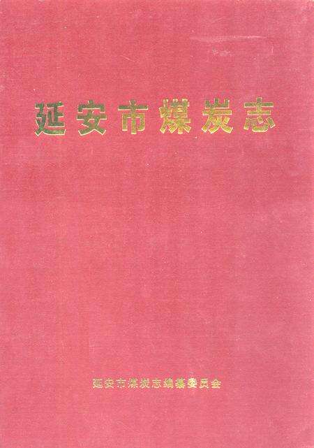《延安市煤炭志》.pdf电子版_陕西省志缩略图