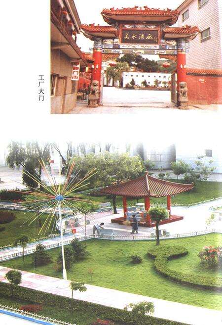 《《美水酒厂厂志(1975.5-2002.12)》》.pdf电子版_陕西省志预览图3