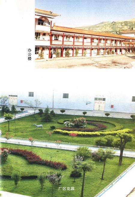 《《美水酒厂厂志(1975.5-2002.12)》》.pdf电子版_陕西省志预览图4