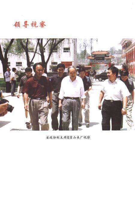 《《美水酒厂厂志(1975.5-2002.12)》》.pdf电子版_陕西省志预览图5