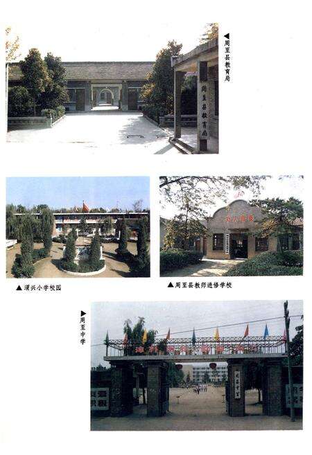 《周至县教育志》.pdf电子版_陕西省志预览图4