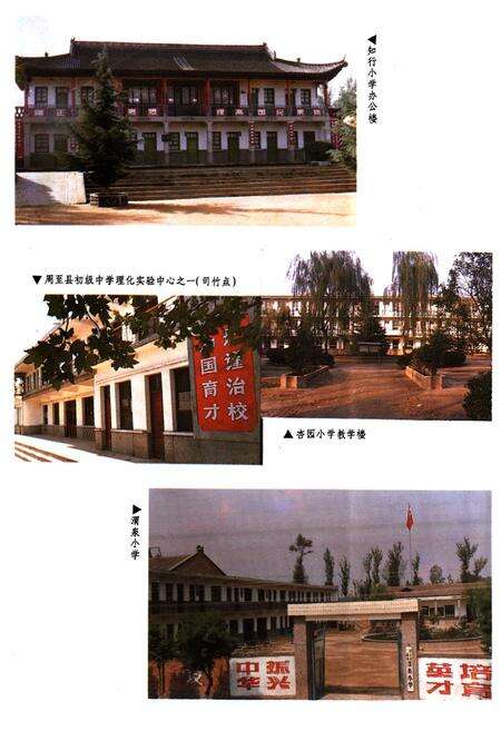 《周至县教育志》.pdf电子版_陕西省志预览图5