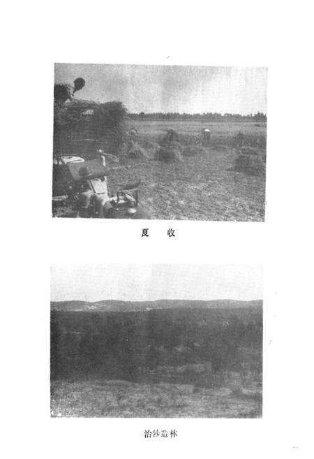 《金鸡滩乡志》.pdf电子版_陕西省志预览图3