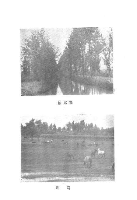 《金鸡滩乡志》.pdf电子版_陕西省志预览图4