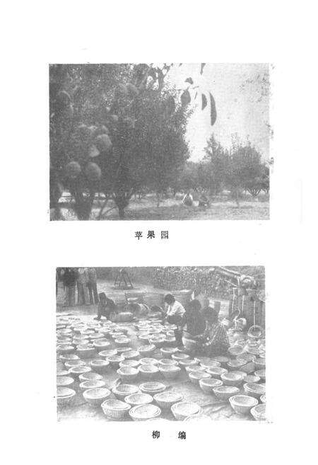 《金鸡滩乡志》.pdf电子版_陕西省志预览图5