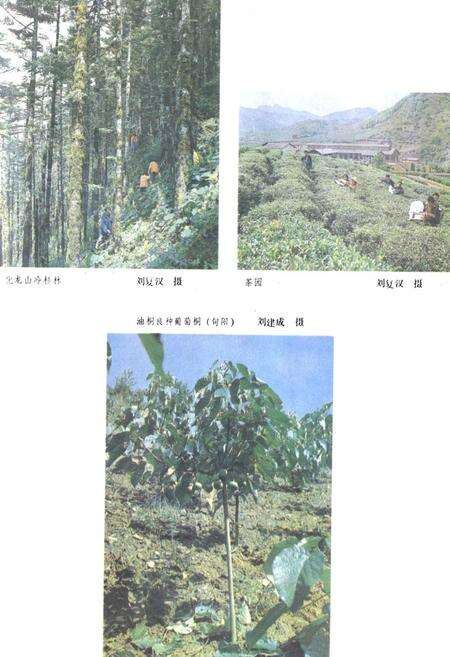 《陕西省安康地区地理志》.pdf电子版_陕西省志预览图4