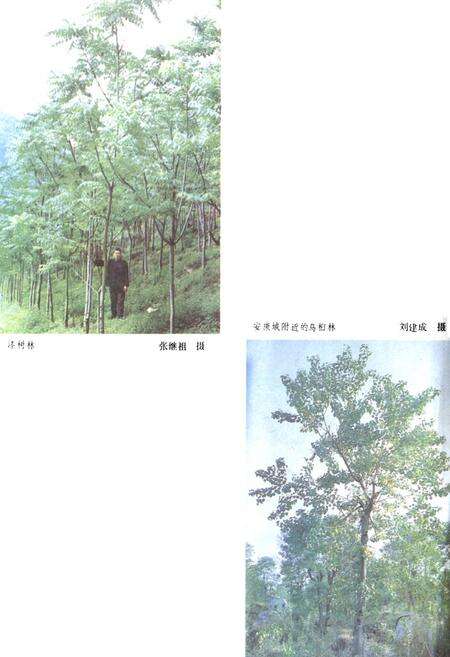 《陕西省安康地区地理志》.pdf电子版_陕西省志预览图5