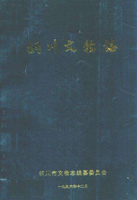 《《铜川文物志》》.pdf电子版_陕西省志缩略图