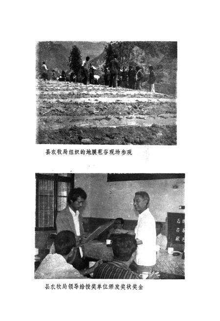 《石泉县农牧志》.pdf电子版_陕西省志预览图5