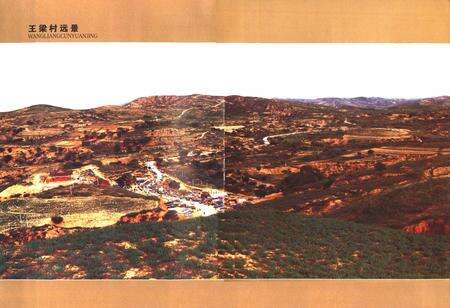 《王梁村志(1949-2009)》.pdf电子版_陕西省志预览图4