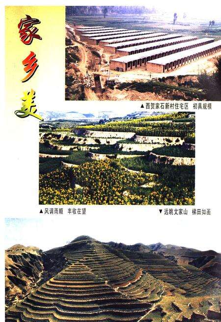 《西贺家石村志》.pdf电子版_陕西省志预览图5