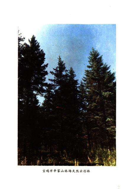 《陕西省宝鸡市林业志》.pdf电子版_陕西省志预览图3