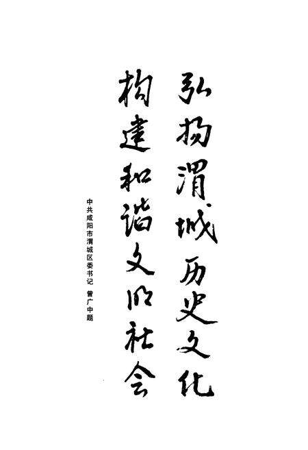 《渭城文物志》.pdf电子版_陕西省志预览图5