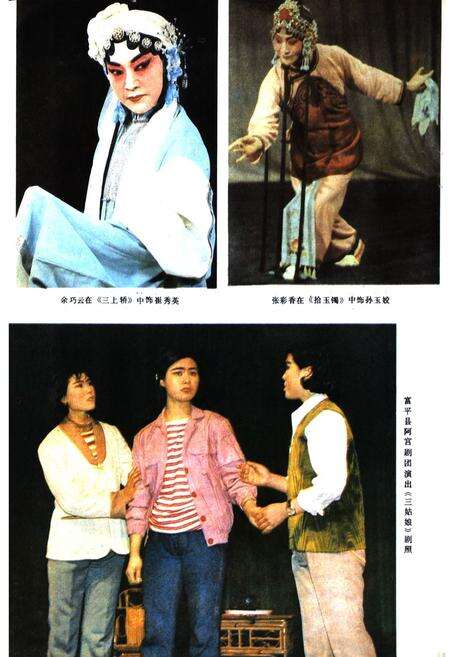 《渭南地区戏曲志》.pdf电子版_陕西省志预览图5