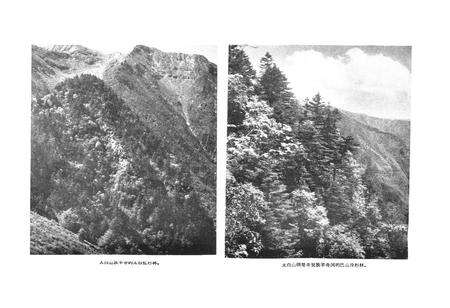 《秦岭植物志·第一卷种子植物(第一册)》.pdf电子版_陕西省志预览图4