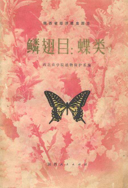 《鳞翅目_蝶类》.pdf电子版_陕西省志缩略图