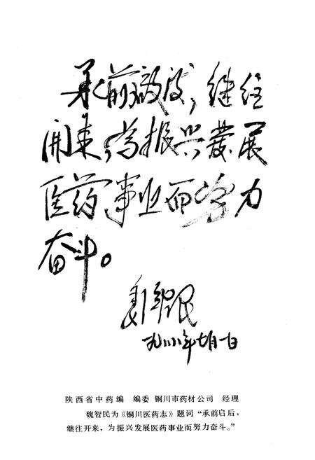 《铜川医药志》.pdf电子版_陕西省志预览图3