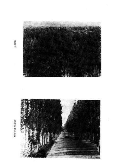 《榆林市林业志》.pdf电子版_陕西省志预览图5