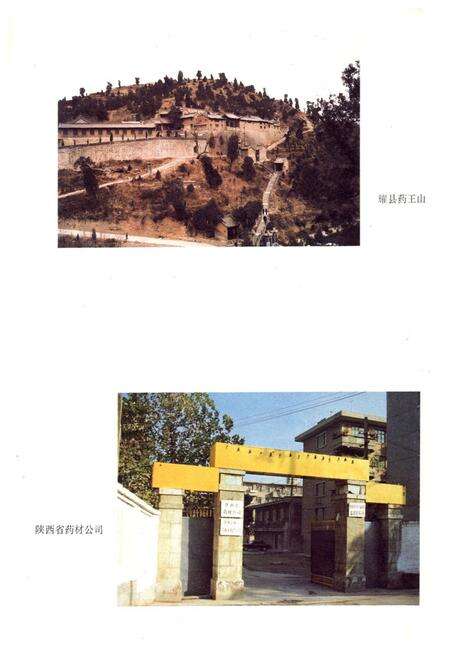 《中药志》.pdf电子版_陕西省志预览图4