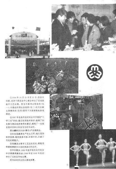 《西安妇女团体志》.pdf电子版_陕西省志预览图3