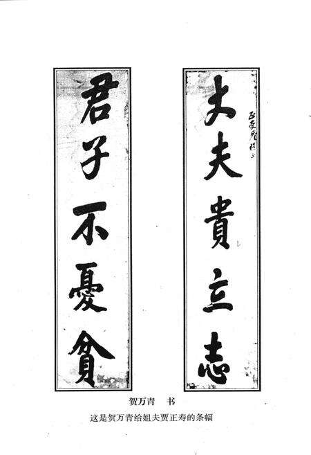 《贺家川村志》.pdf电子版_陕西省志预览图3